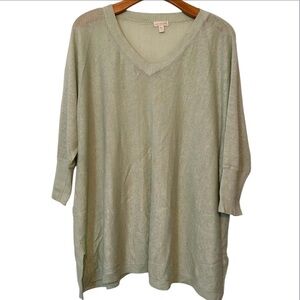Garnet Hill 100% Organic-Linen Light Green Boxy V-Neck Tunic Sweater Medium